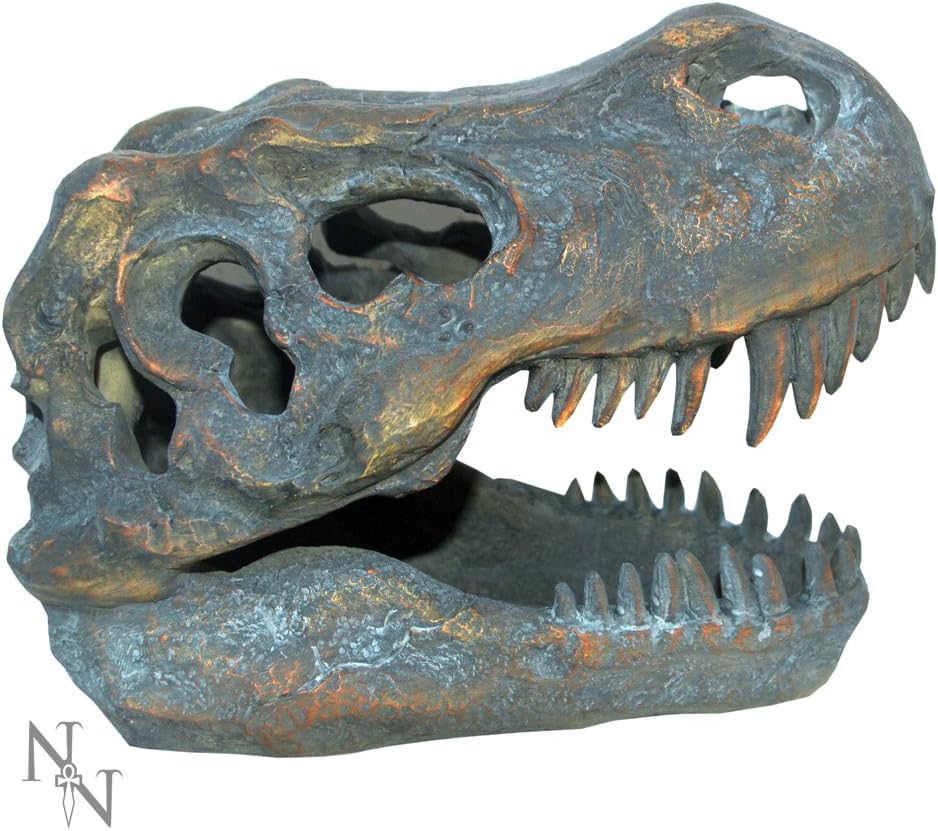 Nemesis Now Tyrannosaurus Rex Skull Freestanding Figurine 18.5cm Grey, 16cm