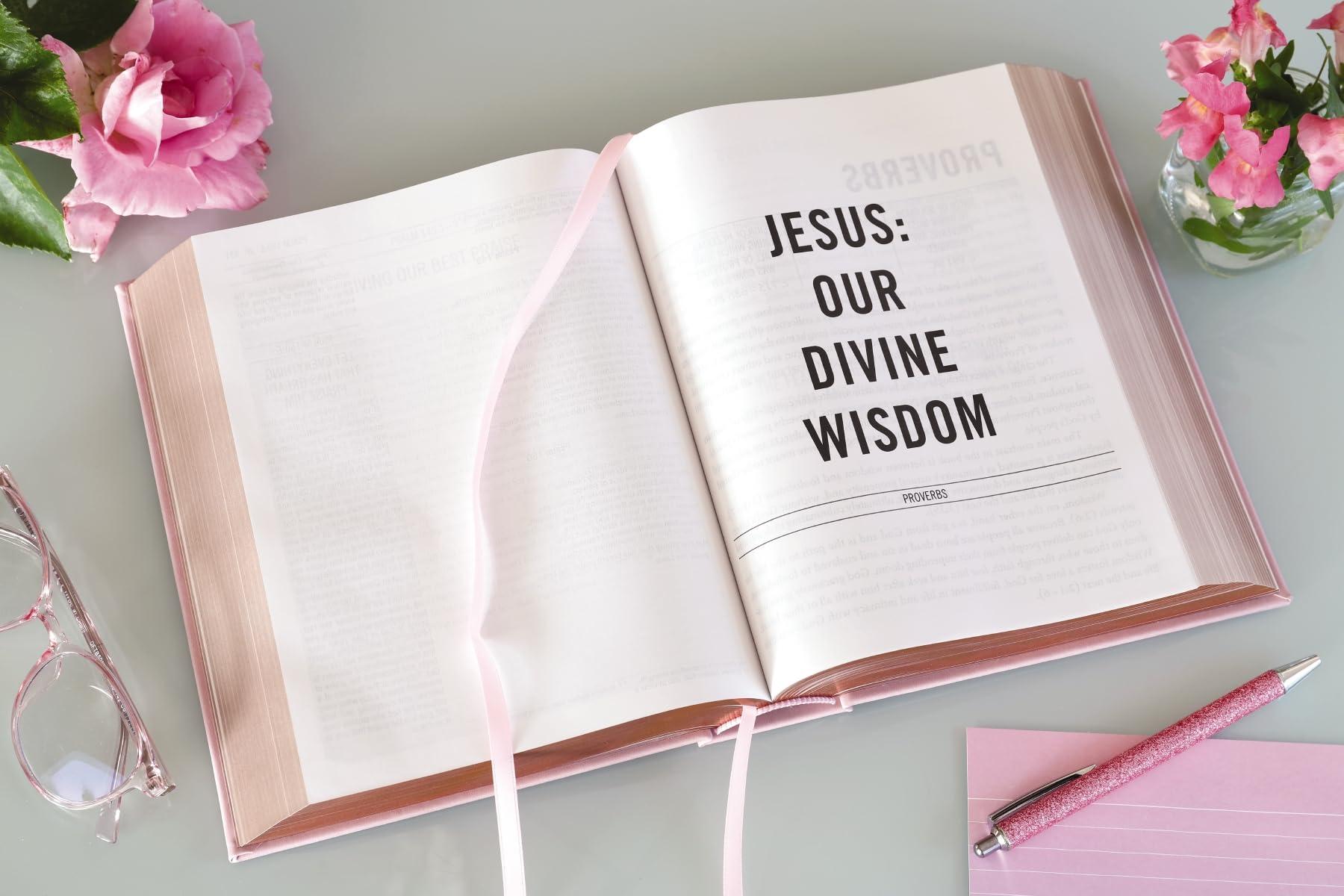 The Jesus Bible, NIV Edition, Leathersoft over Board, Pink, Comfort Print The Jesus Bible, NIV Edition, Leathersoft over Board, Pink, Comfort Print Hardcover