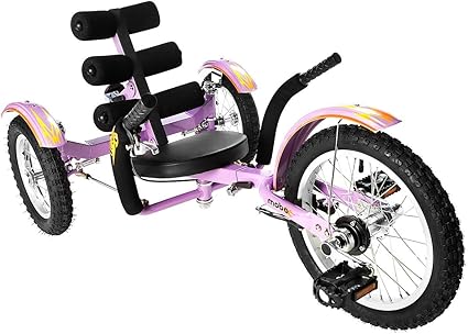 three wheeled cruiser