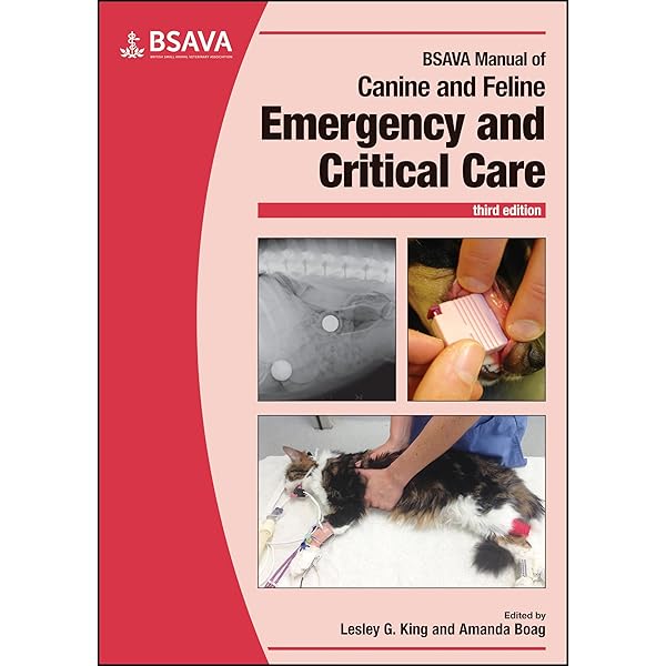 健康・医学 Small Animal Critical Care Medicine Small Animal Critical Care Medicine: 9780323764698: Medicine