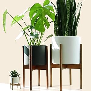 Fox & Fern Mid Century Plant Stand Indoor - Acacia - EXCLUDING 10" Ceramic Pot - Fits Snake Plant