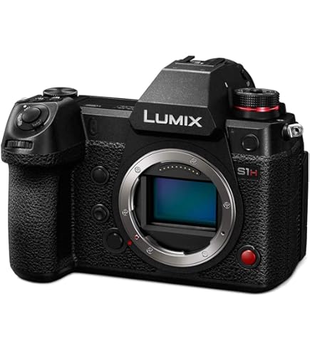 Amazon.com : Panasonic Lumix S1H 24.2MP Full Frame Mirrorless