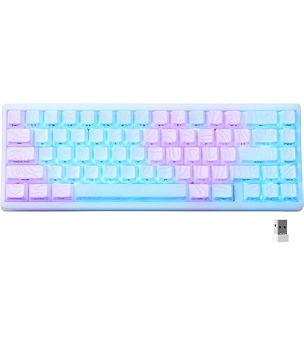 Ducky One 3 Mini Aura White 軸2種類セット Ducky One 3 Mini Aura Clear White 60% Hotswap RGB LED Double Shot ABS