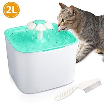 Pet Supplies