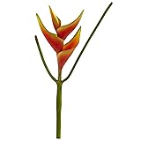 Nearly Natural 14’’ Mini Heliconia Flower