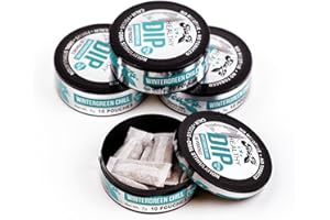 TeaZA Energy Pouches, Tobacco Free Nicotine Free Smokeless Alternative Snuff & Energy Dip Chewing Tobacco Alternative Healthy Dipping Caffeine Free Great for Refreshing - Wintergreen Chill (4 Pack)