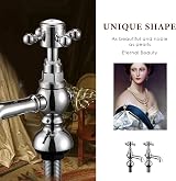 Wasserrhythm Victorian Basin Taps Pair Waterfall Twin Chrome Brass view 3