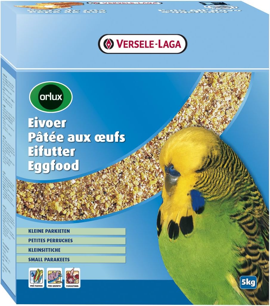 budgie breeding food