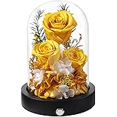 Pinnetetti Preserved Flowers in Glass Dome with LED, Forever Yellow Roses for Delivery, Valentines Day Anniversary Birthday Mothers Day Flower Gifts for Mom Her Women Wife Mother
