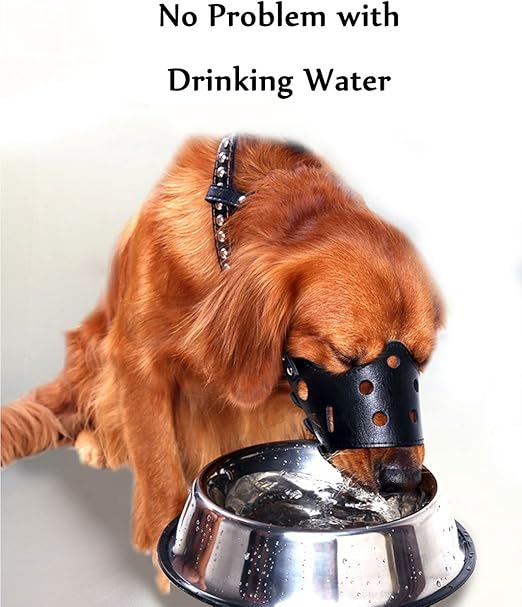 Junmo Chien En Cuir Muselière Anti Aboiement Pour Les Grands Chiens De Petite Taille Moyenne