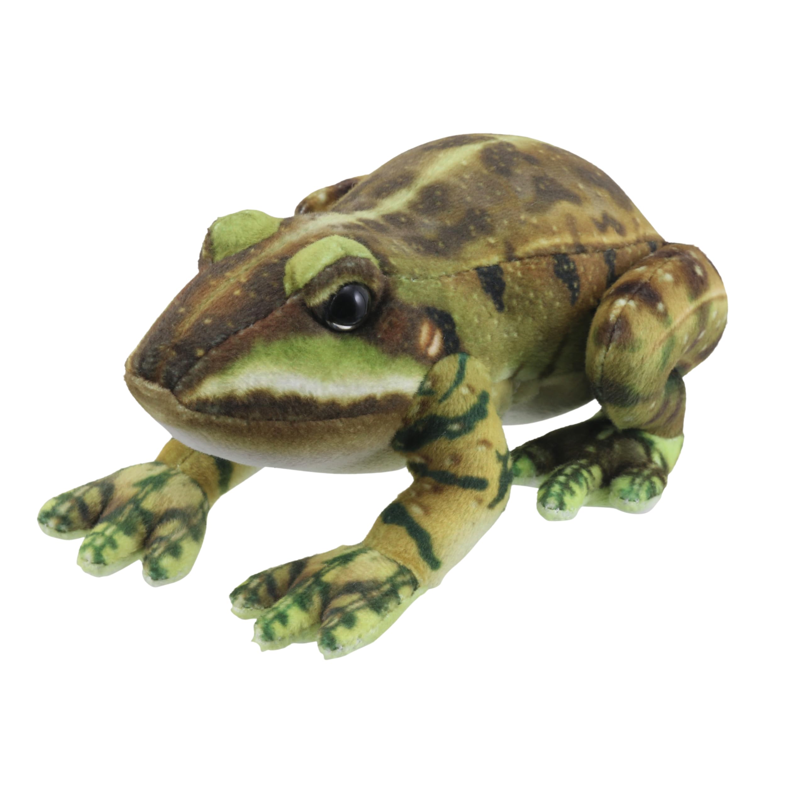 The Puppet Company Little Creatures Green Frog Finger Puppet - Soft Plush Animal Toy for Kids & Adults alike - Interactive & Cuddly Reptile Toy - 9cm