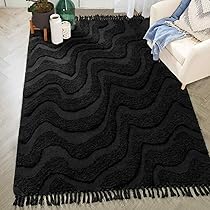 Amazon.com: Castage Black Rug 3'x5' Rugs for Bedroom Living