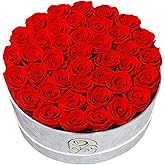 Gifts for Women Preserved Roses Flower Box, Luxury Velvet Box with 40 Roses, Preserved Flowers, Romantic Gift for Her, Wife, Girlfriend, Birthday Anniversary Christmas (Red)