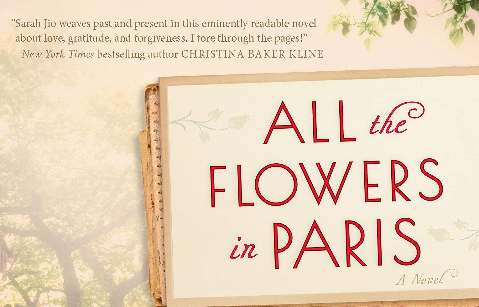 Amazon Com All The Flowers In Paris A Novel 9781101885079 Jio Sarah Books