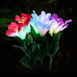 Outdoor Solar Garden Stake Lights - Multi-Color Changing Flower Lights for Pathway, Lawn (3pack Clivia)