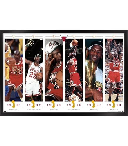 Amazon.com: H5D9387 Chicago Bulls Legends Jordan Pippen Rodman