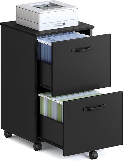 VASAGLE 2-Drawer Filing Cabinet Mobile File Cabinet for Home Office