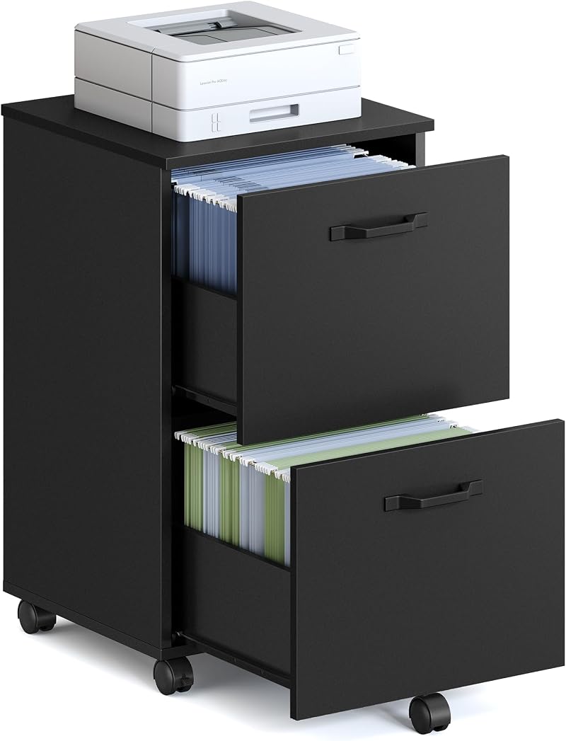VASAGLE 2-Drawer Filing Cabinet Mobile File Cabinet for Home Office