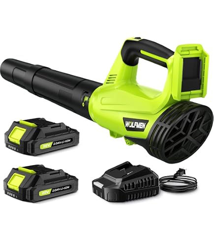 Amazon.com: Ryobi 40-Volt Baretool Lithium-Ion Cordless Jet Fan