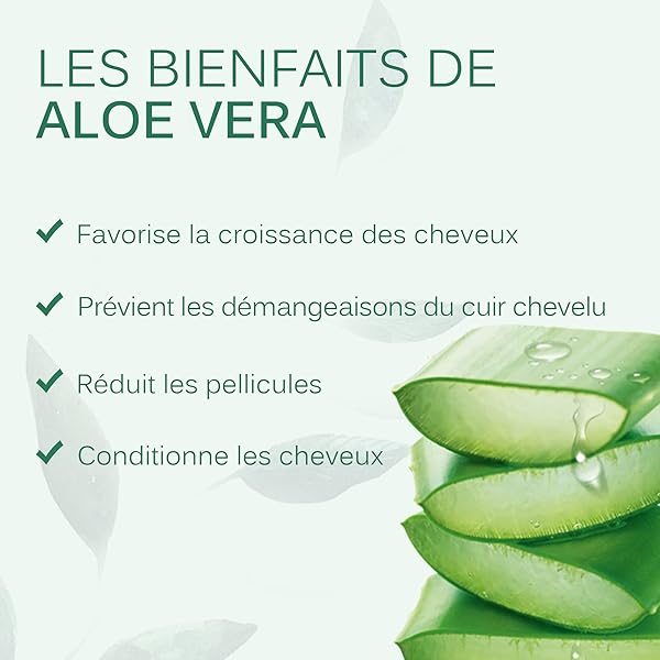 NATURAL AFTER KERATIN ALOE VERA SHAMPOO – PARABEN ALCOHOL SULFATE AND SALT FREE – NUTRIENTS RICH ORGANIC HERBAL INGREDIENTS – REPAIR AND ANTI FRIZZ – POST HAIR COLORATION FOR DAMAGED HAIR – 17 OUNCES