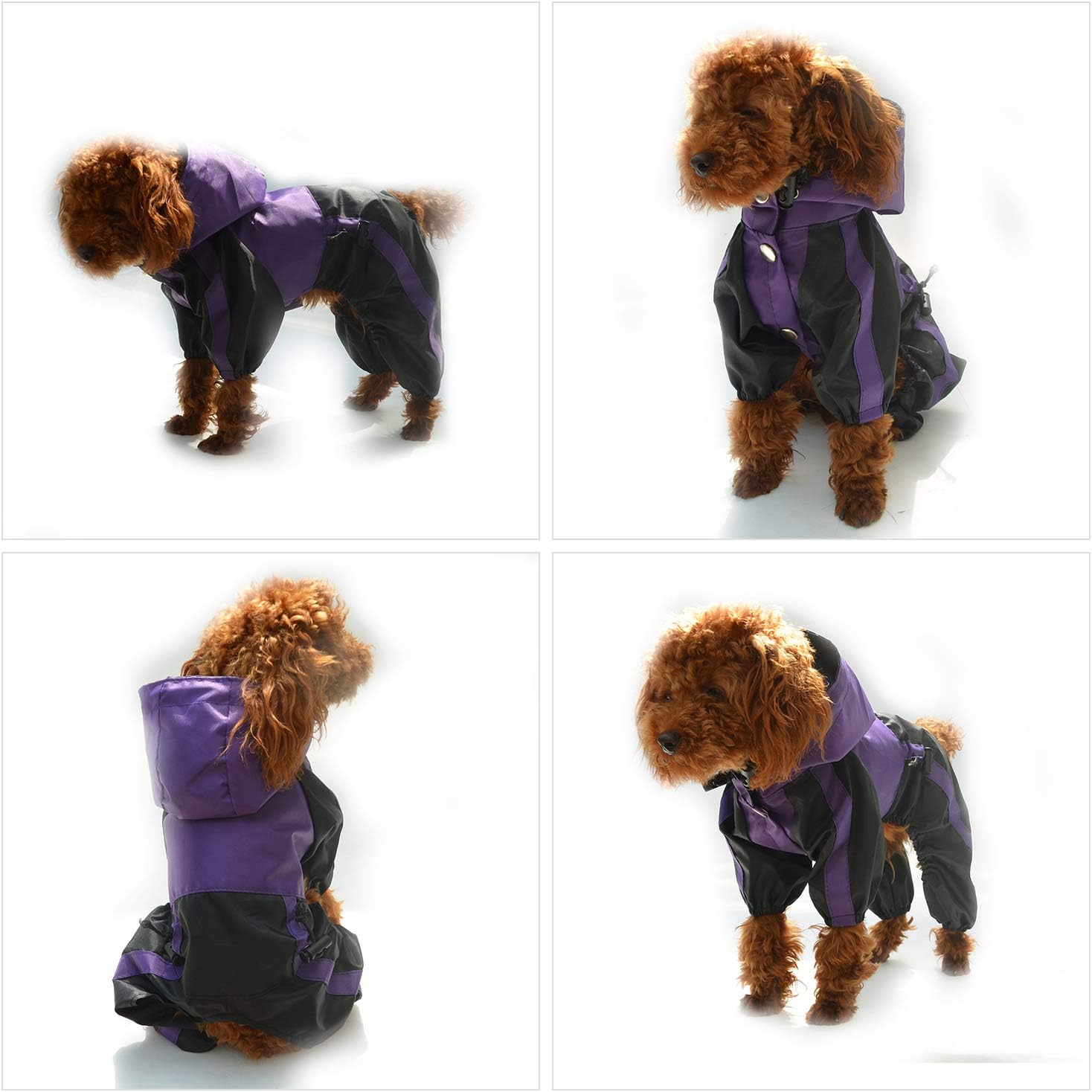 Lovelonglong Dog Hooded Raincoat - Image 5