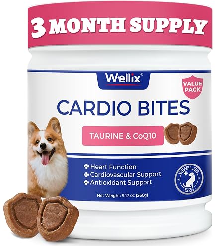 para que serve o l'carnitine Benefcios da L-Carnitina