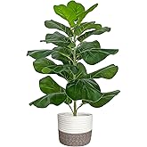 BESAMENATURE Artificial Fiddle Leaf Fig Tree/Faux Ficus Lyrata for Home Office Decoration, 30.5" Tall, with Cotton Rope Basket