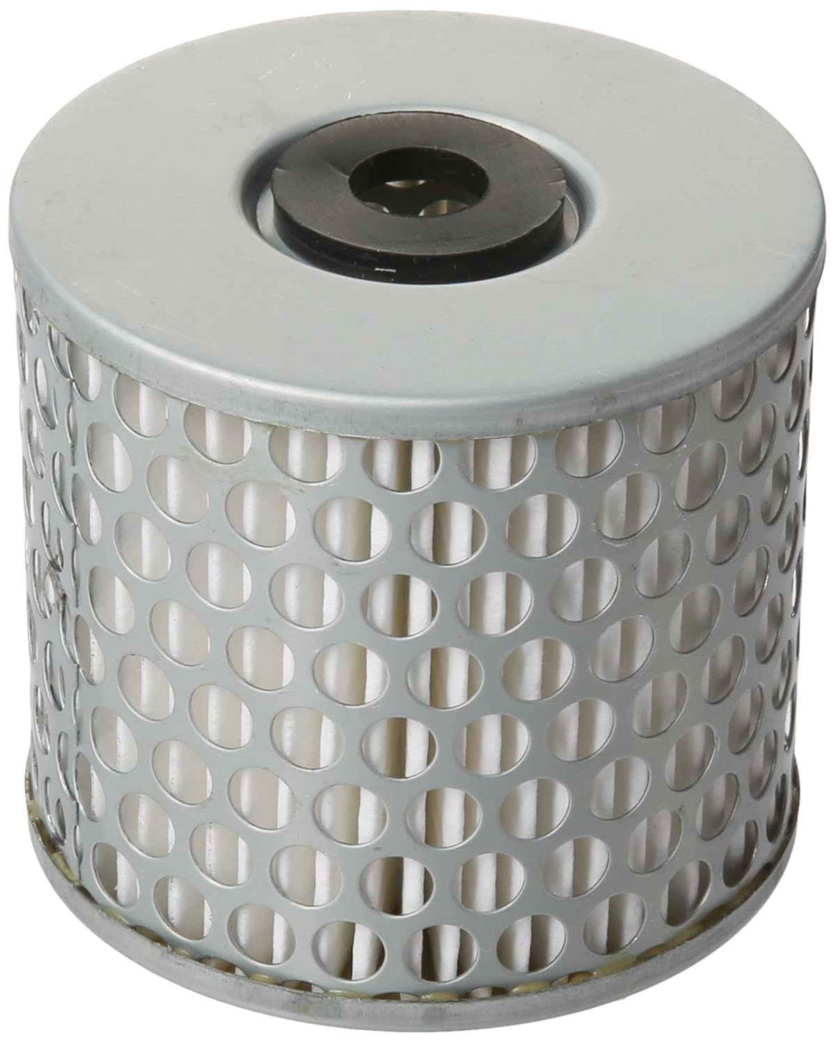 Professional Products 10120 Fuel Filter Replacement Element by