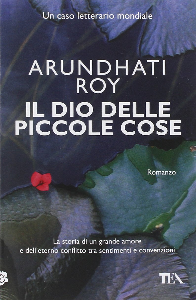 Amazonit Il Dio Delle Piccole Cose Arundhati Roy C