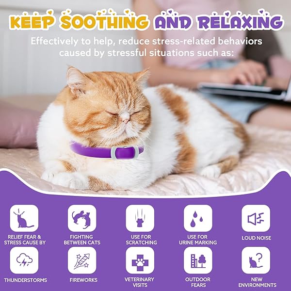 OIMMAL 4 PACK CALMING COLLAR FOR CATS, ADJUSTABLE CAT CALMING COLLAR, CAT PHEROMONE COLLAR FOR CATS AND KITTEN, RELIEVE REDUCE ANXIETY STRESS, CAT ANXIETY RELIEF CALM RELAXING COLLARS