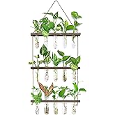 XXXFLOWER Wall Hanging Propagation Station with Wooden Stand 5 Glass Test Tubes 3 Tiered Planters Wall Terrarium for Home Office Plant Hanger Flower Vases Wall Decor Hydroponic Cuttings