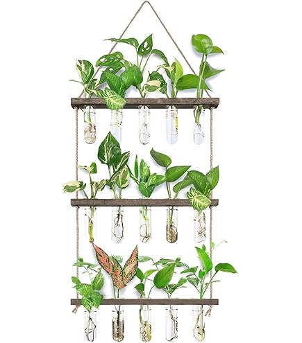 Amazon.com: Kikkerland Herb Planters Bottle Top, 1 EA : Patio, Lawn & Garden