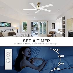 WINGBO 54 Inch DC Ceiling Fan without Lights, 5