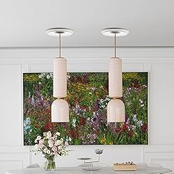 Tsnamay 2Pcs White Ceiling Medallion Ceiling Fan