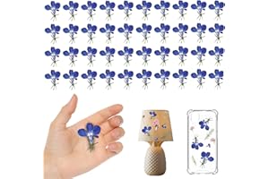 CyHiThai Blue Dried Pressed Flowers for Resin Crafts Embellishments, 60PCS Natural Pressed Dried Flowers for Resin Jewelry DIY Phone Case Decor Candle Making Decoration