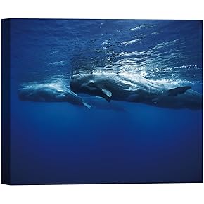 SIGNWIN Canvas Wall Art A Humpback Whale Swimming...