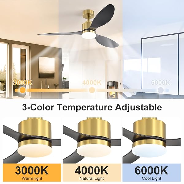 BREEZARY 52″ CEILING FANS WITH LIGHTS AND REMOTE, QUIET DC MOTOR, 3 REVERSIBLE BLADES, MODERN GOLD AND BLACK CEILING FAN WITH 3-COLOR LED LIGHT FANDELIER FOR BEDROOM LIVING ROOM