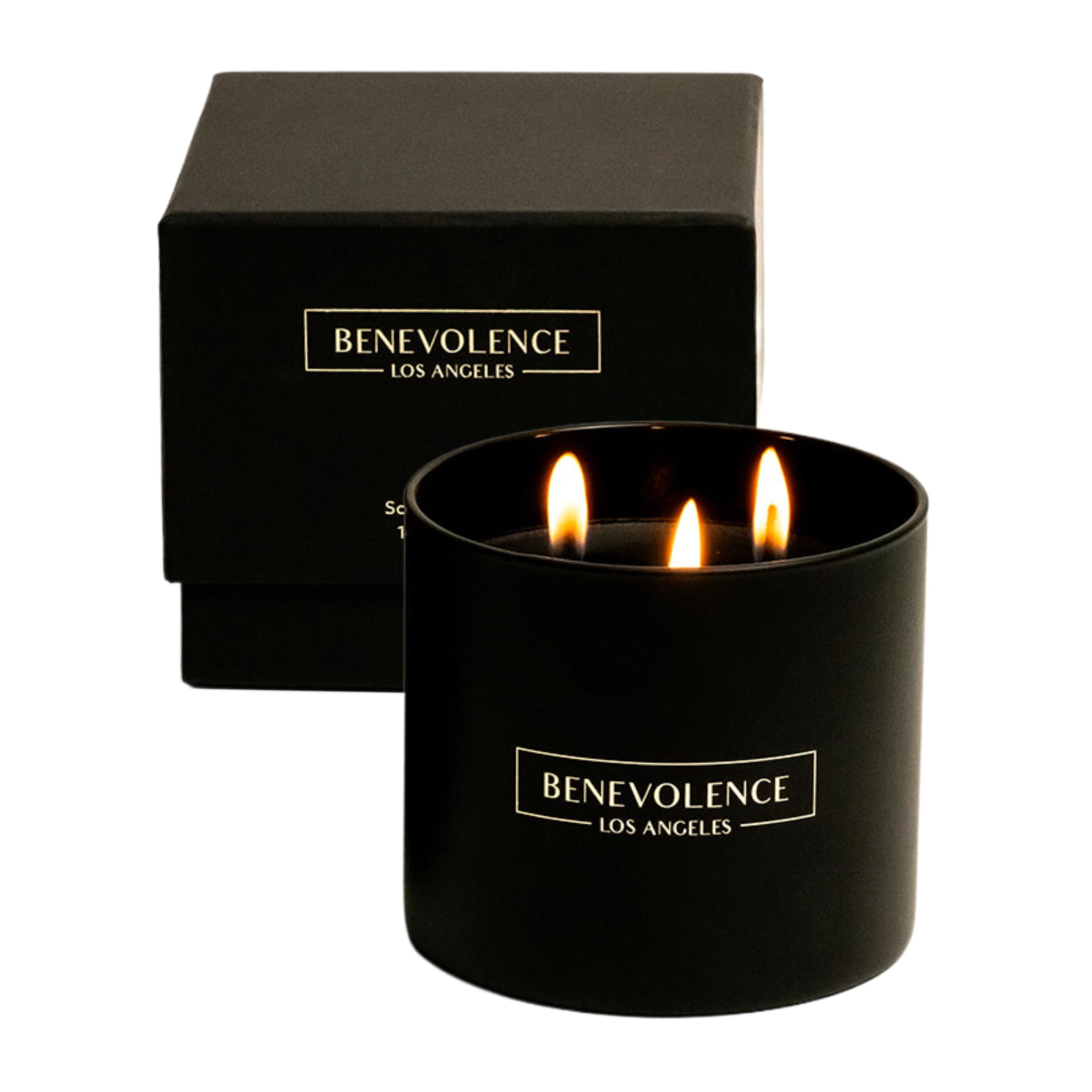Photo 1 of Benevolence LA 3 Wick Candle, Black Berries (Baies) Large Scented Candle | Soy Candles | Gifts for Women and Men | Home Fragrance | Aromatherapy | Bathroom Freshener 14.5 Oz, 45 Hour Burn