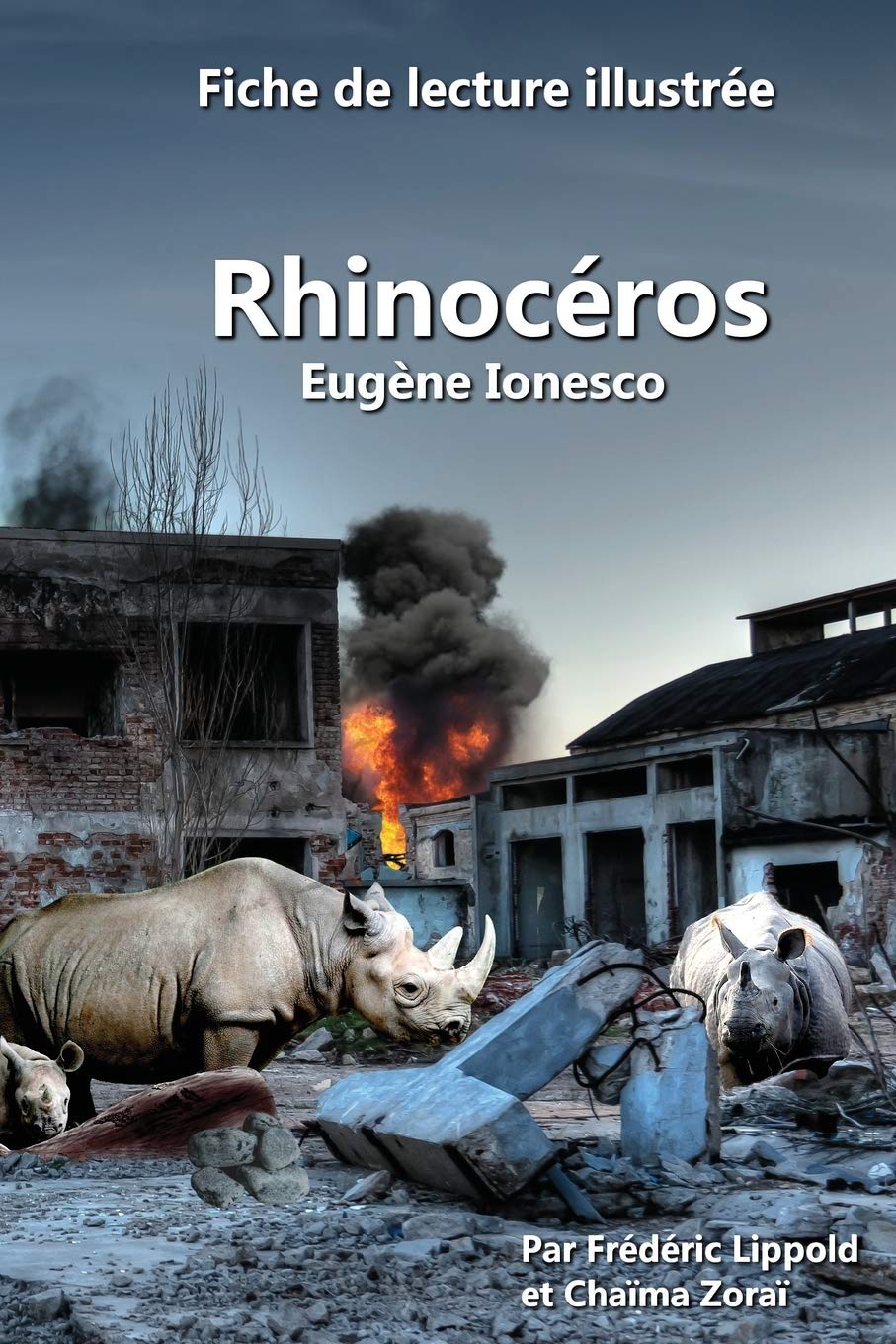 Fiche De Lecture Illustree Rhinoceros D Eugene Ionesco French Edition Lippold Frederic 9781978430051 Amazon Com Books