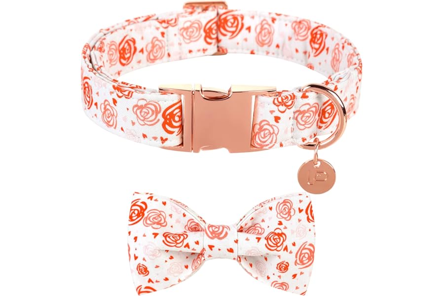 UP URAR PUP Valentine's Dog Collar With Bowtie for Puppy Girl Boy Dog or Cat, Gift Collar With Metal Buckle, Wedding Dog Collar, White, XS