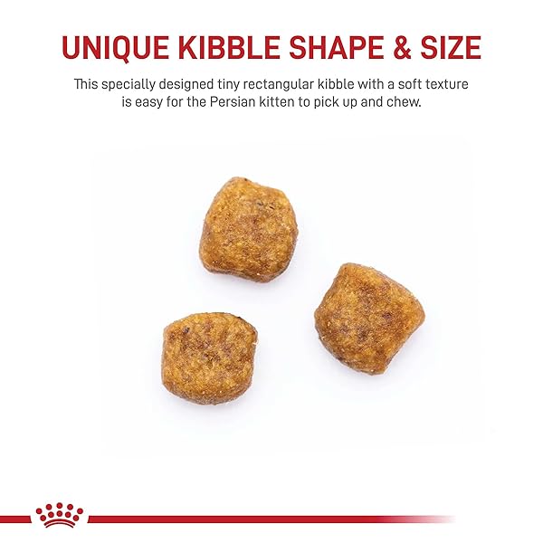 ROYAL CANIN PERSIAN BREED DRY KITTEN FOOD, 3 LB BAG