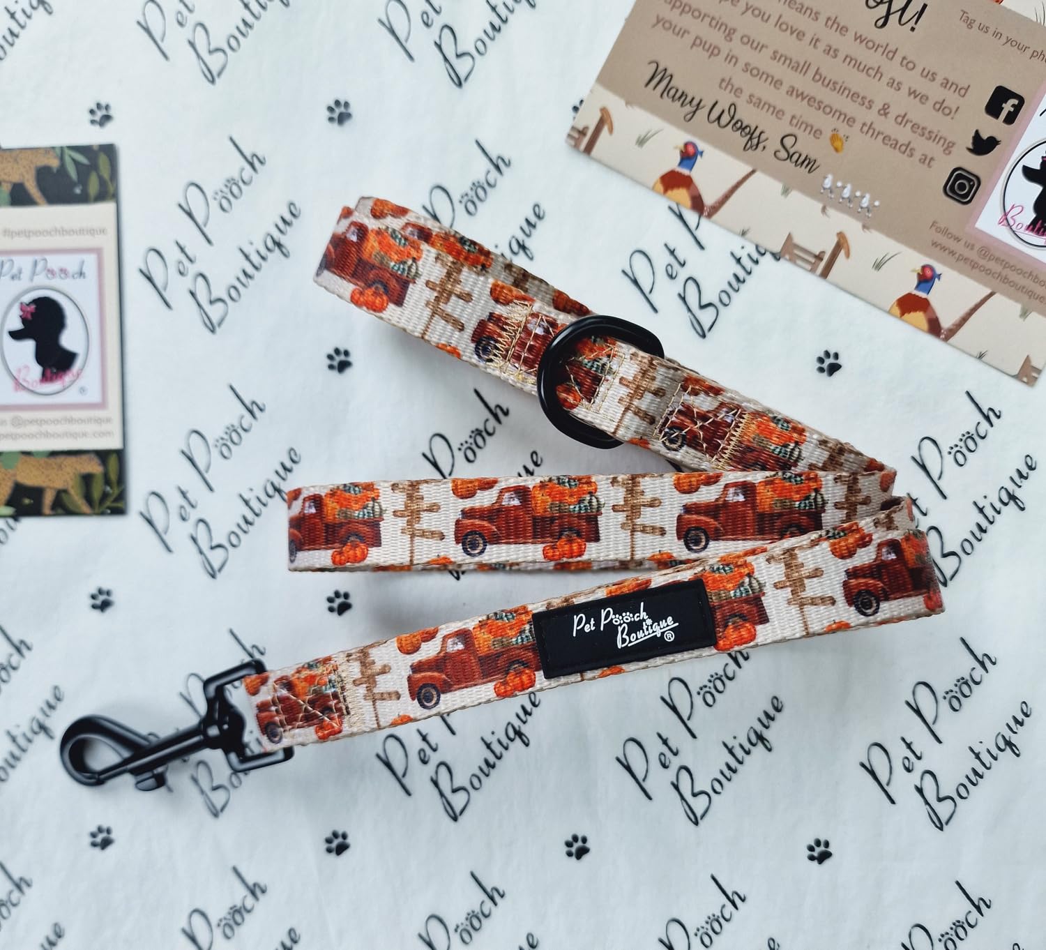 PUMPKIN PATCH CART DOG LEAD - REVERSIBLE