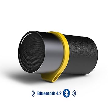 puridea i6 bluetooth speaker price
