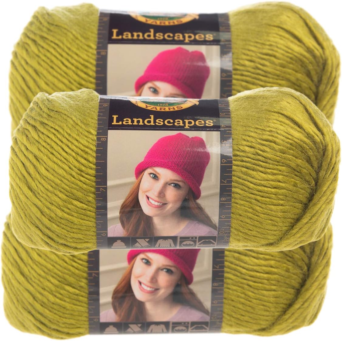 Lion Brand Yarn (3 Pack) Landscapes Yarn Acrylic 100