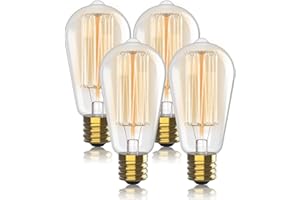 HUDSON BULB CO. Vintage Incandescent Edison Light Bulbs 60W (4 Pack)- E26/E27 Base 2100K Dimmable Decorative Lightbulbs for Outdoor and Indoor - ST64 Style Warm Light - Antique Squirrel Filament