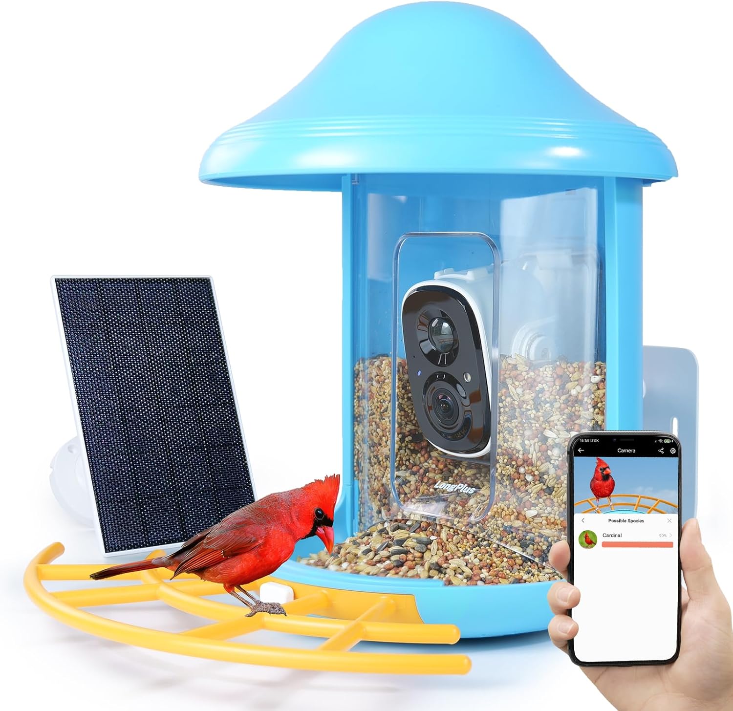 Backyard Birding & Wildlife - LongPlus Bird Feeder with Camera, Wireless Outdoor Solar Bird Feeder, AI Identify Bird Species,Bird feeders for Outside, Auto Capture Bird Videos&Notify When Birds Detected,Bird House,Gift for Parents