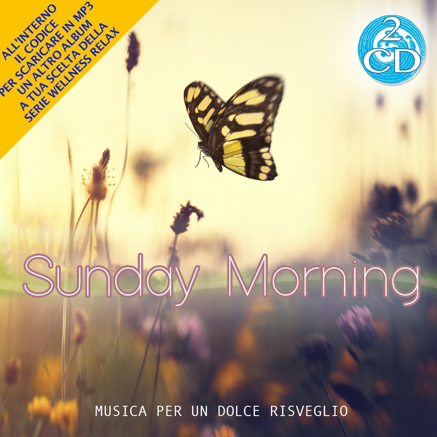 Various Artists 2 CD Sunday Morning, Morning Café Music and Music to