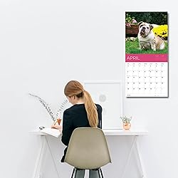 July 2025- December 2026 Wall Calendar 18 Month