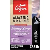 ORIJEN Amazing Grains WHOLEPREY Dry Dog Food Puppy Large 22.5lb Bag | WHOLEPREY Ingredients, Freeze Dried, Fresh or Raw Ingredients, Non-GMO Ingredients, Skin &amp; Coat, Immune Support