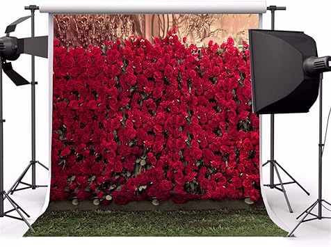 Amazon Com Aofoto 8x8ft Portrait Backdrops Photography Wedding